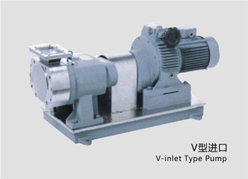 凸輪式轉子(zi)泵