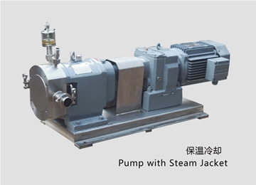 凸輪(lún)式轉子泵