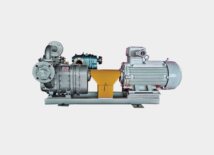 橡膠轉子(zǐ)泵