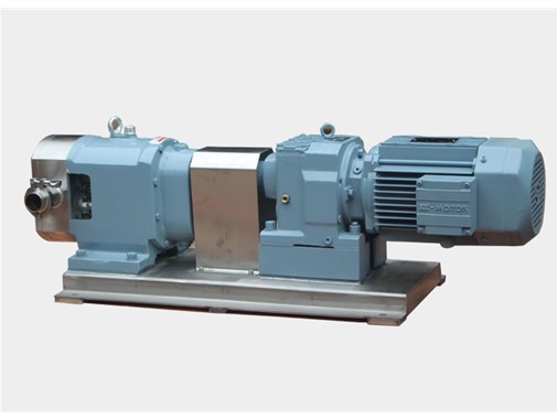 轉子泵(bèng)的傳動形式(shi)